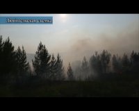 В Усть-Кутском районе в связи с высокой пожароопасной обстановкой действует режим повышенной готовности. 