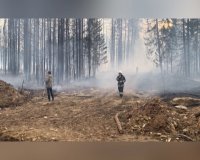За минувшие сутки в Иркутской области полностью ликвидированы 20 лесных пожаров 