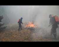 За минувшие сутки в лесном фонде Иркутской области ликвидированы пять пожаров 