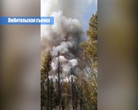 По информации ГУ МЧС России за минувшие сутки в Иркутской области ликвидирован 21 лесной пожар 