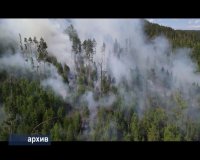 На территории УКМО с начала пожароопасного периода 2022 года зарегистрировано 7 лесных пожаров.