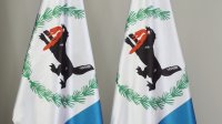 �� ��������� ���������������� ������ ��� ����������� ��������� ������� �������� ������� ��������� ����������� (12+)