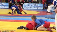 � ����-���� ������ ������������ ������������ �� ����������� ����� ����������� �������� (12+)